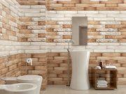 Веста (Vesta) 3